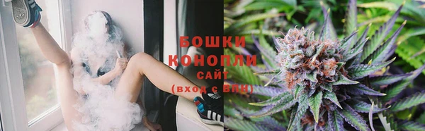 сатива Абаза