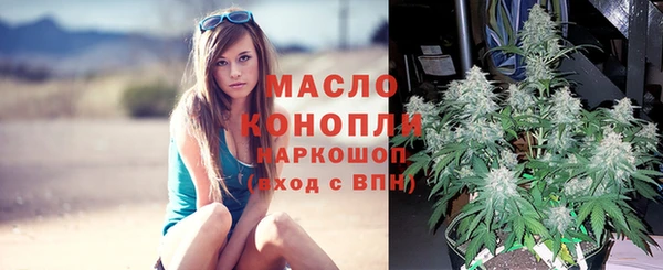 сатива Абаза