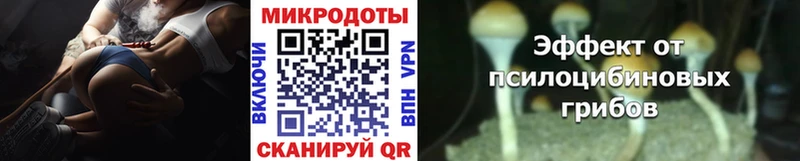 купить наркотики сайты  Чехов  Галлюциногенные грибы Magic Shrooms 